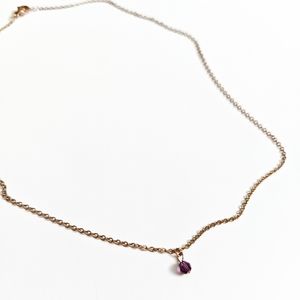 Rose Gold February Birthstone Choker Necklace